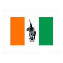 Ivory Coast Cote D'Ivore Soccer Flag Postcard