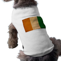 Ivory Coast Flag