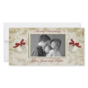 Ivory Holly Photo Card photo cards