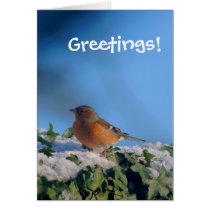 Ivy Chaffinch Greetings Card