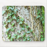 Ivy Climbing Tree mousepads