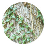 Ivy Climbing Tree stickers