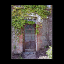 Ivy Door [postcard]