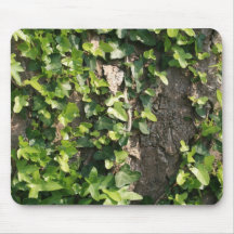 Ivy Leaves on Sycamore: Mousepad