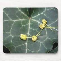 Ivy Mouse Pad