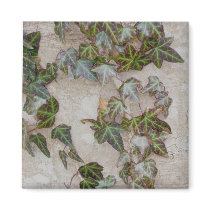 Ivy on Tree Trunk Magnet
