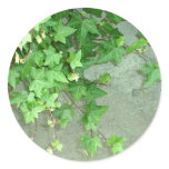 ivy (You can customize) Round Sticker