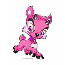 Ixi Pink t-shirts