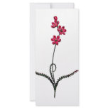 Ixia Crispa rack cards
