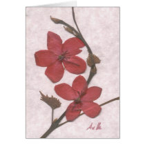 Ixora Greeting Cards