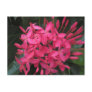 Ixora Flower Postcard