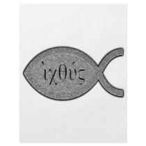 IXOYE Fish - Stone Effect Flyer