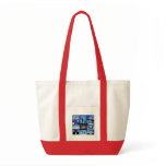 IYA2009 - US Node: Bag
