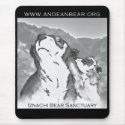 Iznachi Bear Sanctuary Mousepad