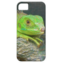 Izzy Iguanna iPhone 5 Cover