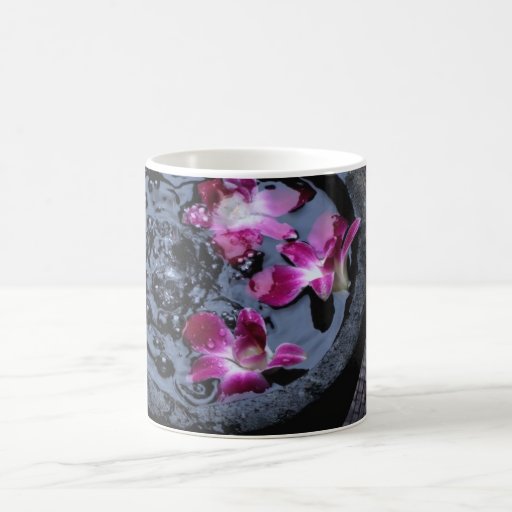 j0402364, Chinese HaikuShadows of natureWater b... Mug