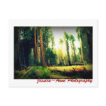 J 29 eleven postcard
