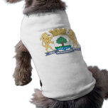 JaboataodosGuararapes Pernambuco, Brazil pet clothing