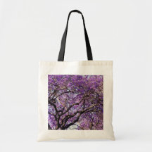 Jacaranda tree in spring bloom flowers bags