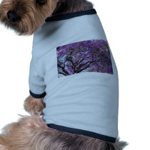Jacaranda tree in spring bloom flowers pet t-shirt