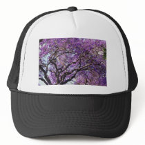 Jacaranda tree in spring bloom flowers trucker hats