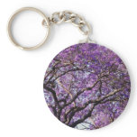 Jacaranda tree in spring bloom flowers key chains