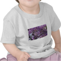 Jacaranda tree in spring bloom flowers tee shirts