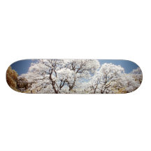 Jacaranda Trees Skateboard