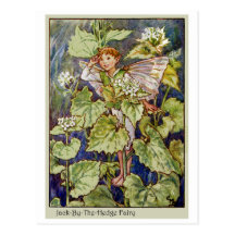Jack-By-The-Hedge Fairy Post Card