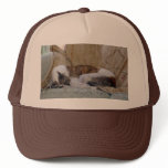 Jack copy hats