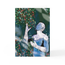 Jack Frost  Cards