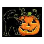 Jack-O-Lantern N Cat Postcard