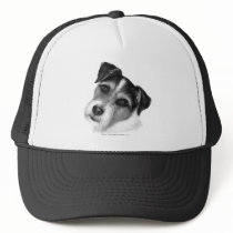 Jack (Parson) Russell Terrier