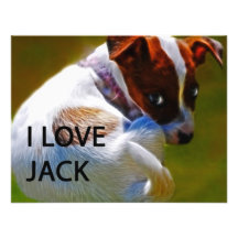 Jack Rusell Puppy Custom Announcements