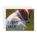 Jack Rusell Puppy invitations