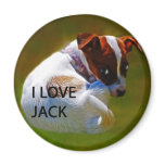 Jack Rusell Puppy Magnets