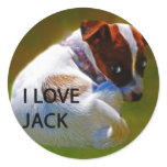 Jack Rusell Puppy stickers