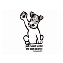 Jack Russell Best Pal Post Card