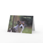 Jack Russell birthday card