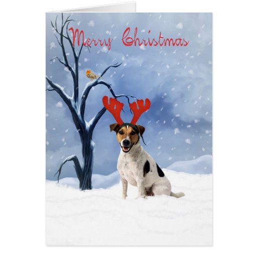 jack russell christmas card bulldog has reindeer Zazzle