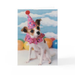 Jack Russell Dog Birthday Card