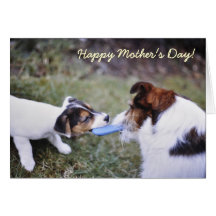 Jack Russell Mother's day card