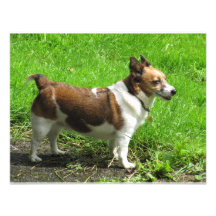 Jack Russell Personalized Invitation