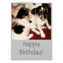 Jack Russell Puppies Birthday Card