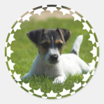 Jack Russell Puppy Stickers