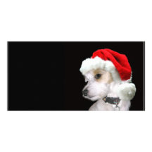 Jack Russell Santa Photo Card