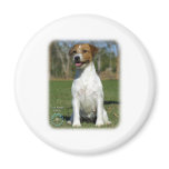 Jack Russell Terrier 9M097D-021 magnets