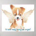 Jack Russell Terrier Angel Dog Gift Poster posters