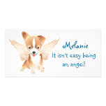 Jack Russell Terrier Angel Dog Photo Prints photo cards