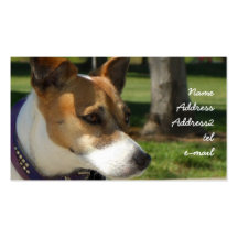 Jack Russell Terrier Business Card